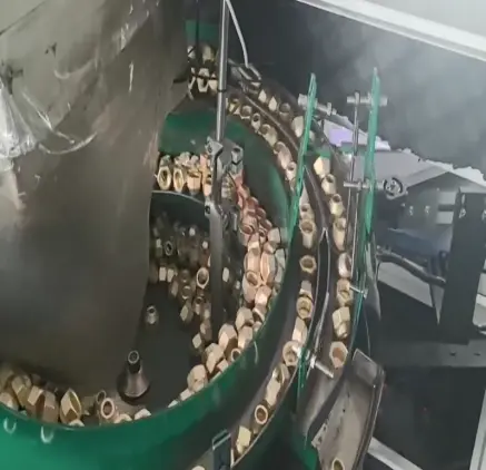 Flare Nuts Automatic Visual Counting And Packaging Machine Flare Nuts Automatic Visual Counting And Packaging Machine